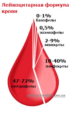 ���������� ������� ���� ����� ���������� �����