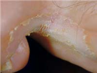 ������������� ����