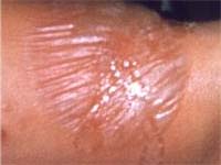 ���������� � �����