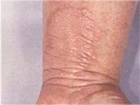 ������� ������� ����� �� ���������