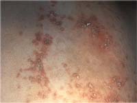 ��������� ��� ������������ �����