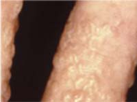 ��������� ��������� ������ ���