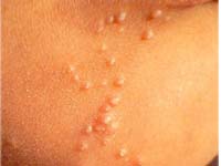 ������������ ������� �� ����