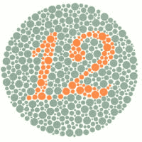 ���� �� ����������